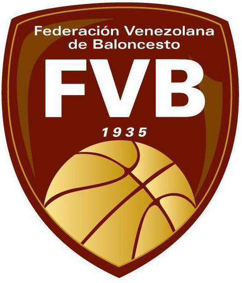 Venezuela 0-Pres Primary Logo iron on transfers for clothing